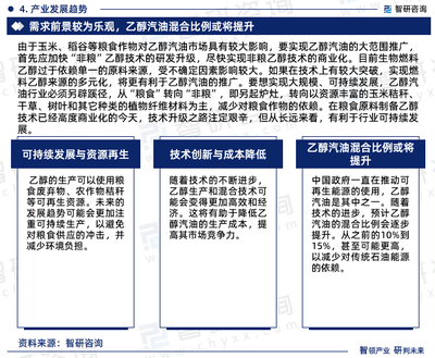 2024-2030年中國(guó)乙醇汽油行業(yè)發(fā)展現(xiàn)狀調(diào)查及市場(chǎng)分析預(yù)測(cè)