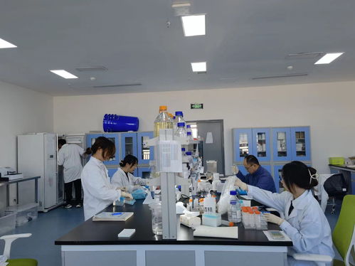 四川推進科技創(chuàng)新領(lǐng)域兩新組織兩個覆蓋 生物科技技術(shù)咨詢的新機遇