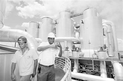 巴西優(yōu)先發(fā)展生物燃料 經濟困境中的綠色突圍之路